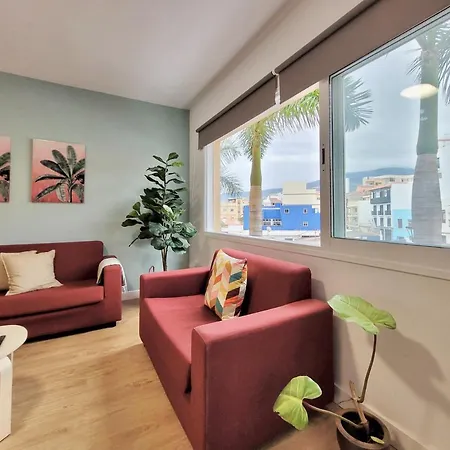 Palm Street Ii Apartment