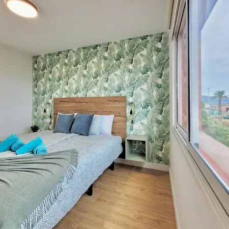 Palm Street Ii Apartment